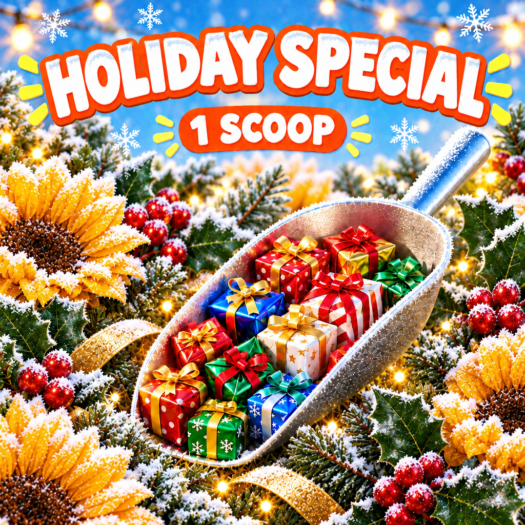 One bead-filled silver scoop holding tiny wrapped gifts with enlarged snowy holly, frosty sunflowers, lights, and HOLIDAY SPECIAL / 1 SCOOP lettering.